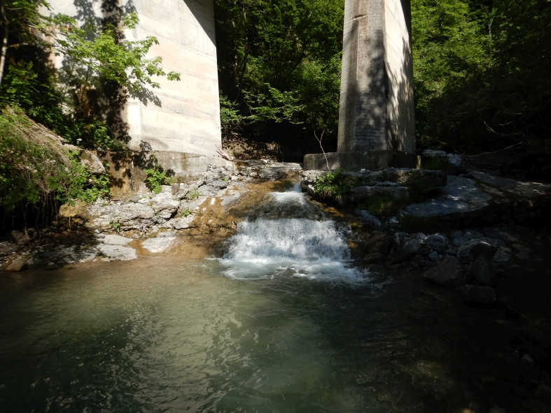 DSCN0484.JPG - 167.38 kb