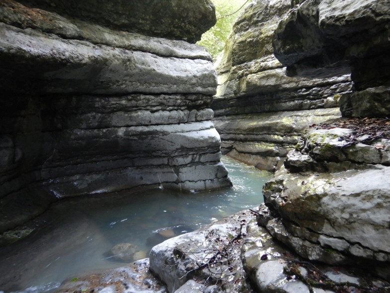 DSCN0489.JPG - 164.47 kb