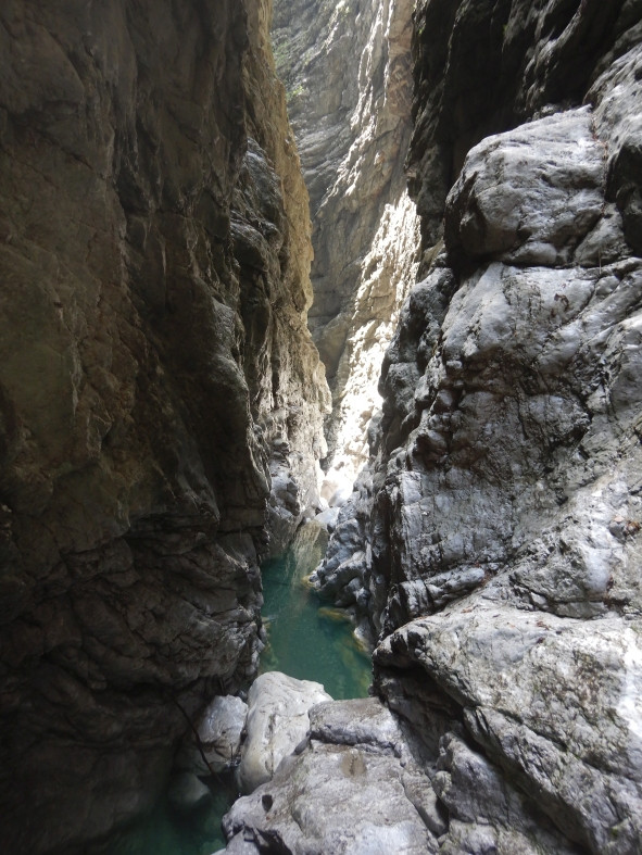 DSCN0602.JPG - 172.3 kb