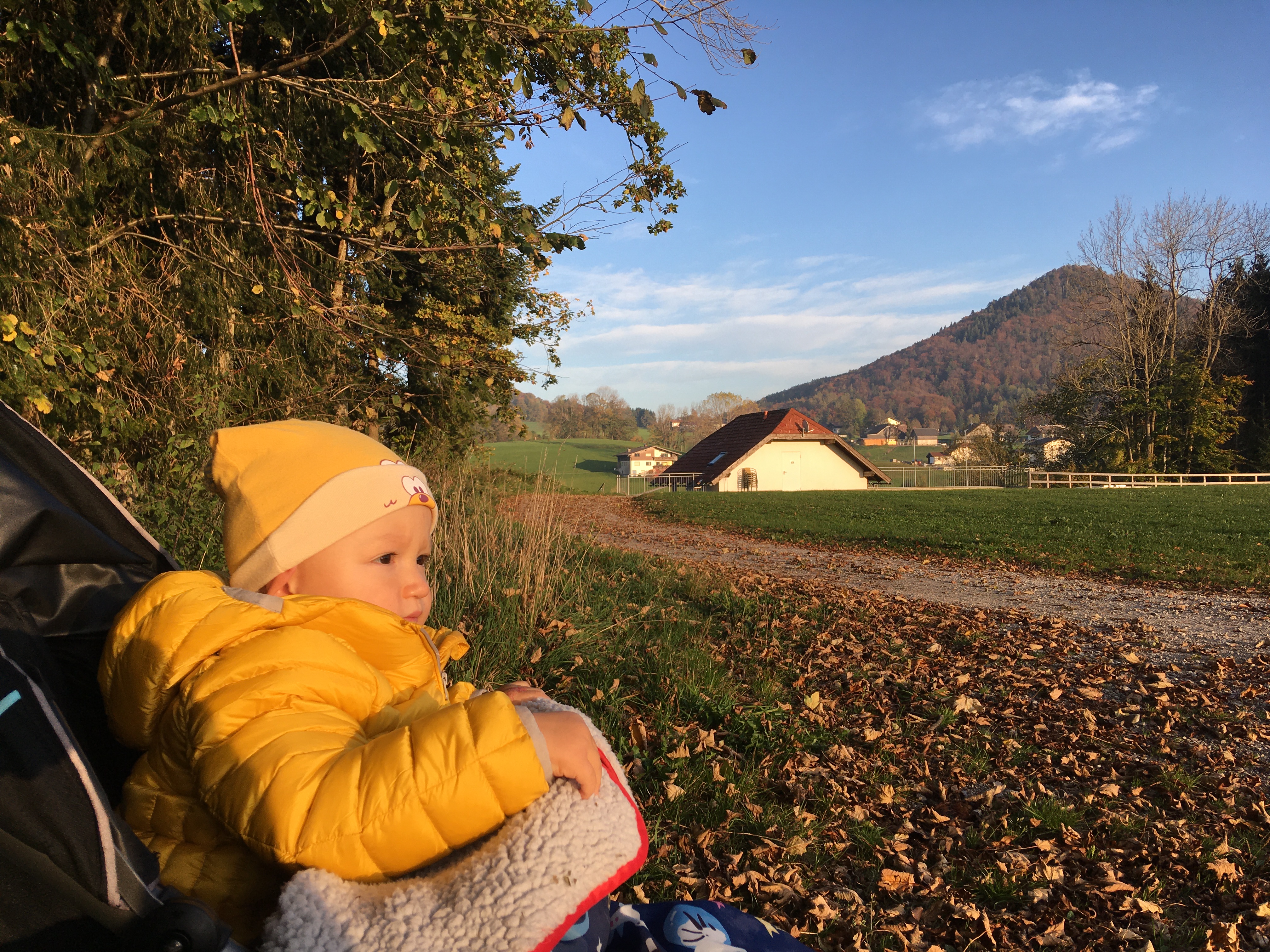 IMG_0011.JPG - 4.02 MB