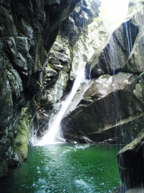 Pilotera1.JPG - 92.57 kb