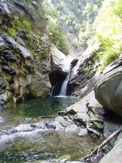 Pilotera2.JPG - 116.36 kb