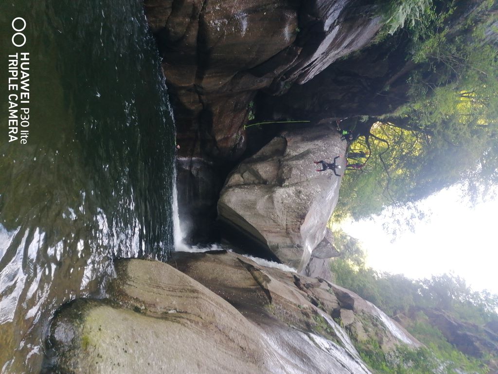 Malv Sup (5).jpg - 147.49 kb