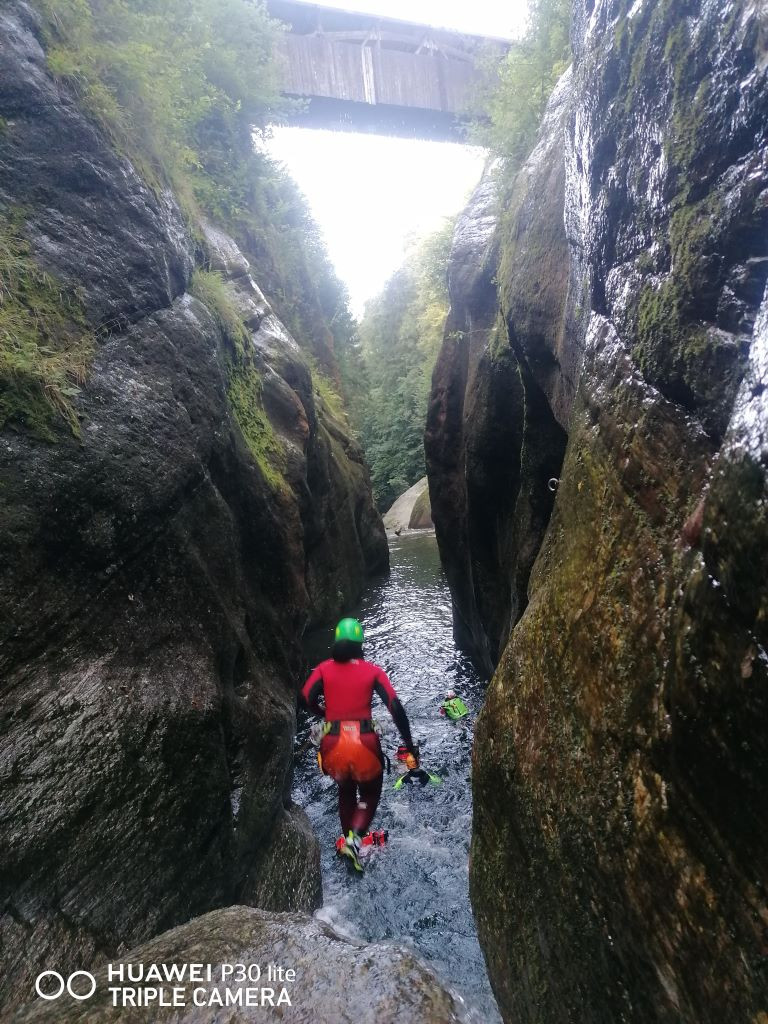 Malv Sup (1).jpg - 274.36 kb