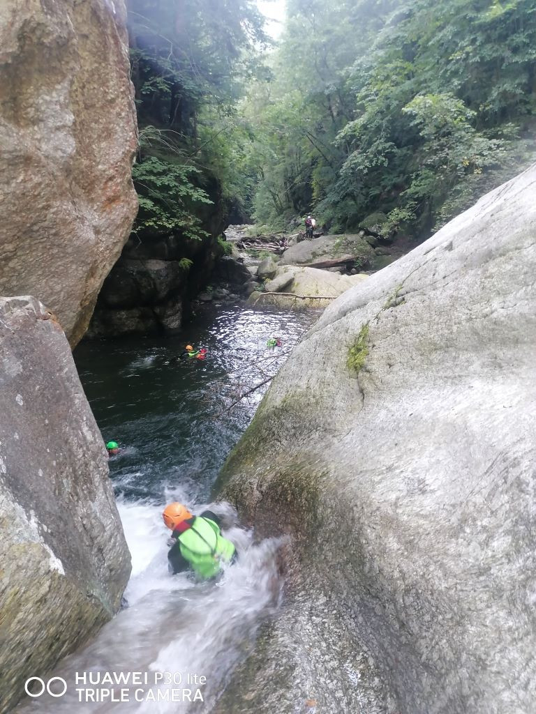 Malv Sup (2).jpg - 279.34 kb