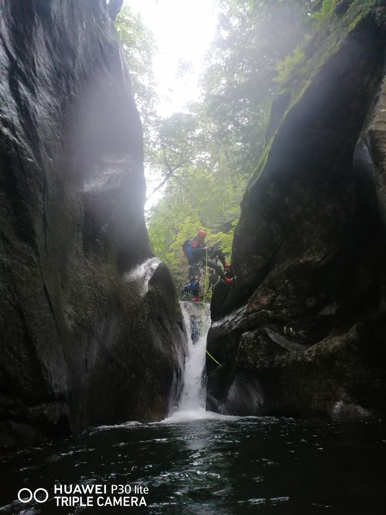 Malv Sup (3).jpg - 152.65 kb