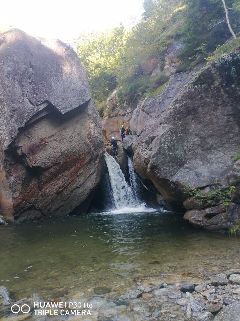 Malv Sup (4).jpg - 254.88 kb