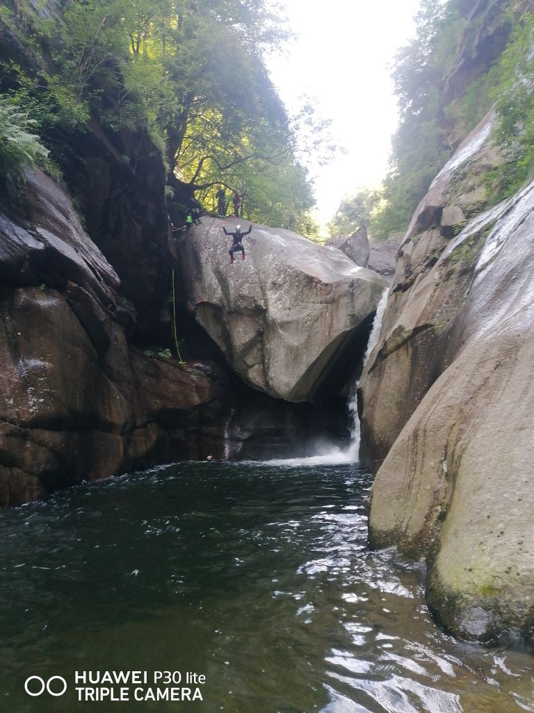 Malv Sup (5).xnbak.jpg - 222.54 kb