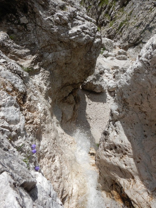 DSCN3405.JPG - 220.14 kb