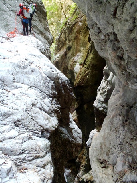 P8050589.JPG - 127.25 kb