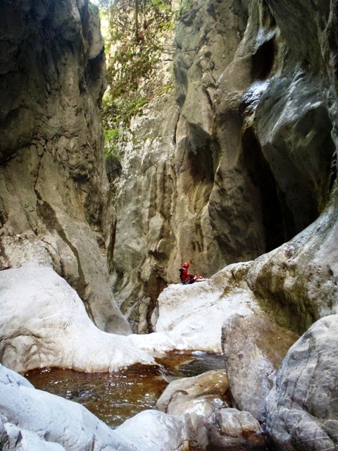 P8050631.JPG - 120.45 kb