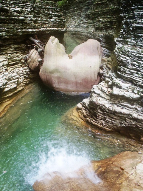 Maor1.JPG - 123.28 kb