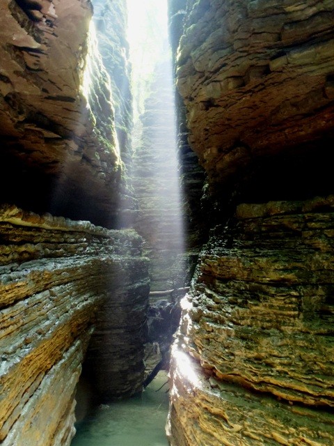 Maor3.JPG - 104.96 kb