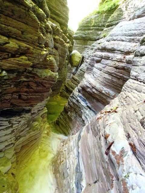 Maor5.JPG - 126.98 kb