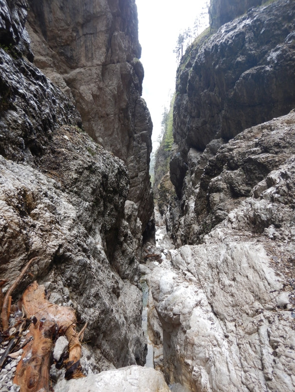 DSCN5795.JPG - 227.69 kb