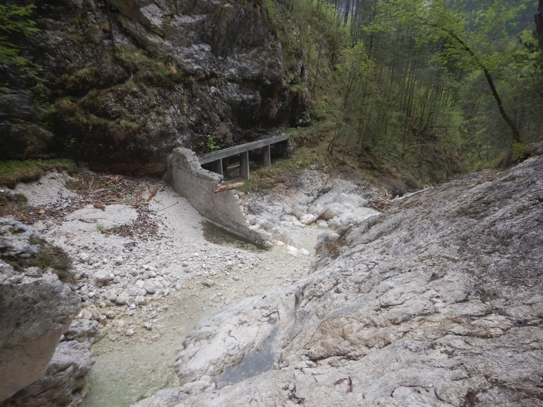 DSCN5883.JPG - 203.53 kb