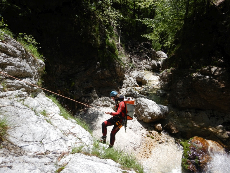 DSCN6285.JPG - 201.36 kb