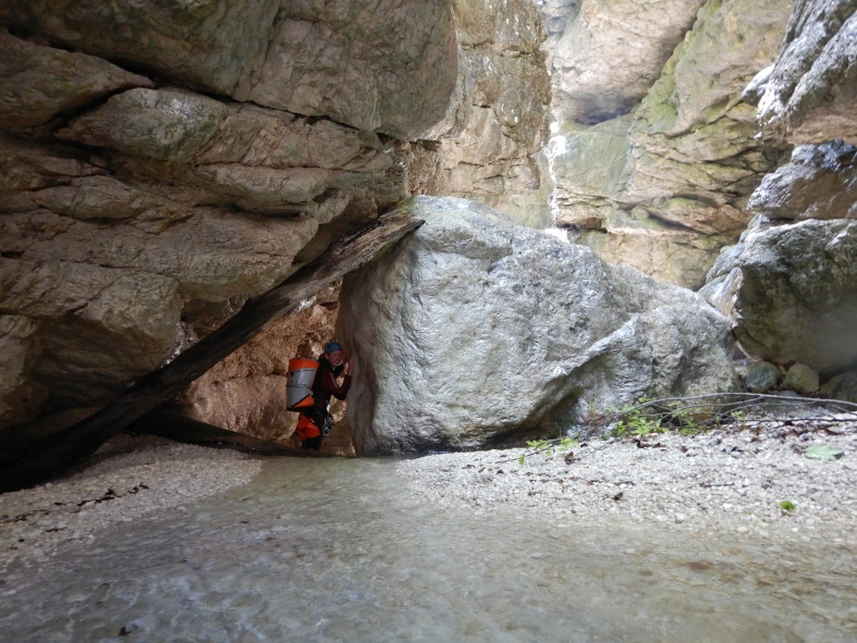 DSCN6301.JPG - 177.21 kb