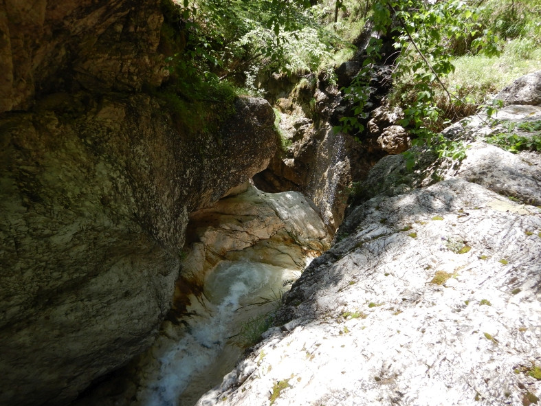 DSCN6314.JPG - 217.28 kb