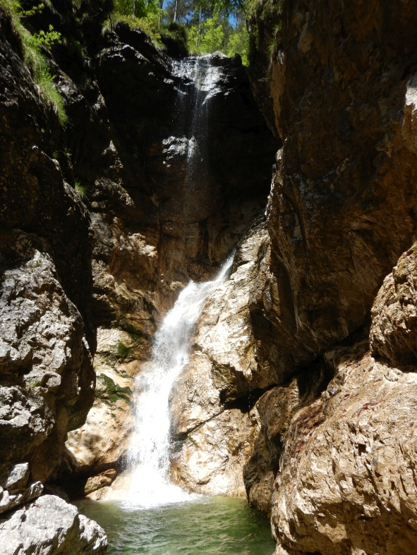 DSCN6320.JPG - 202.37 kb