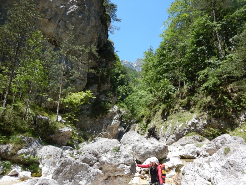 DSCN6328.JPG - 245.82 kb