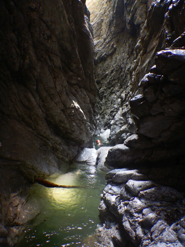 DSCN6184.JPG - 166.04 kb