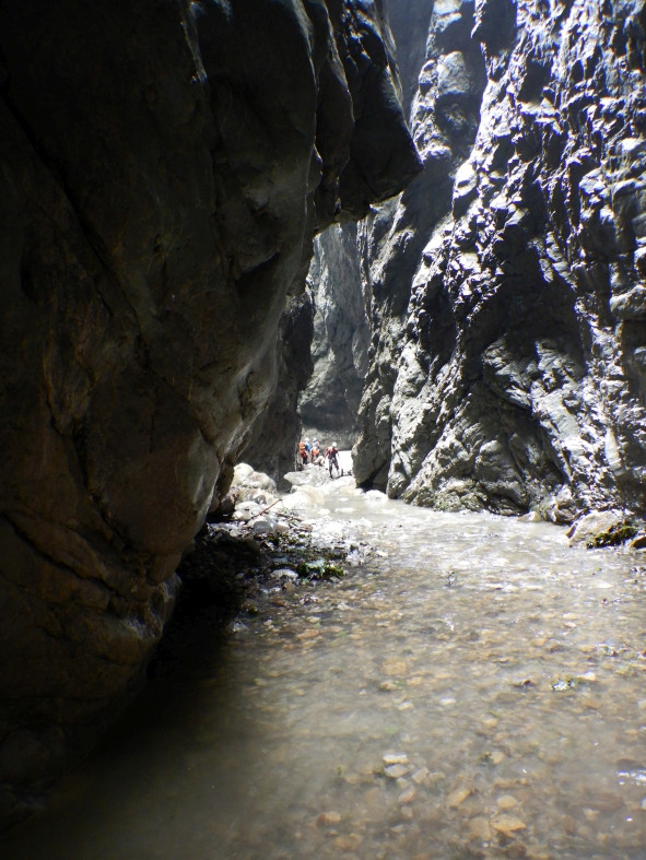 DSCN6460.JPG - 171.72 kb