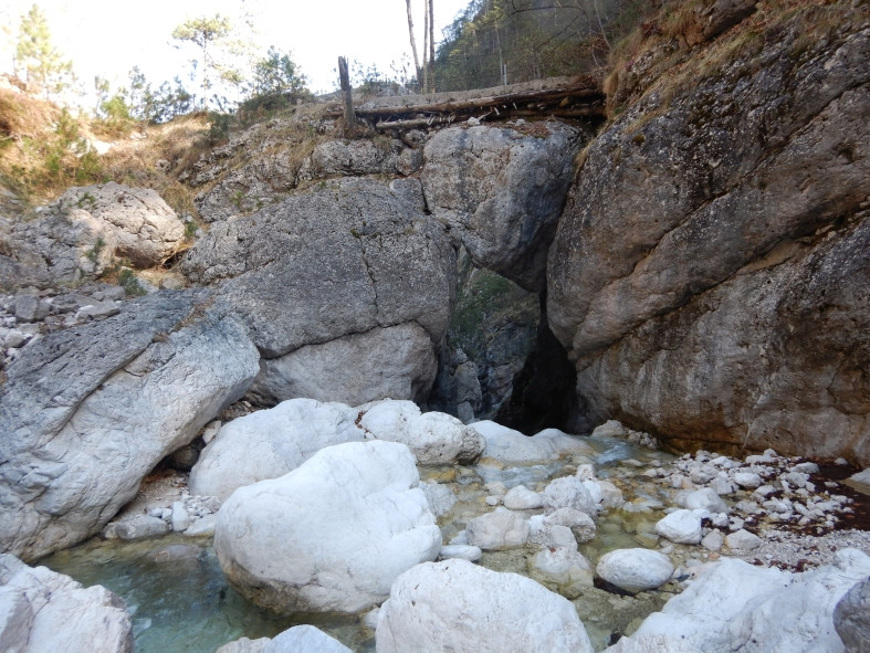 DSCN5735.JPG - 200.24 kb