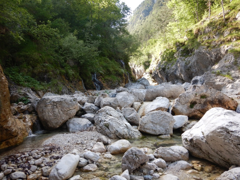 DSCN6611.JPG - 224.55 kb