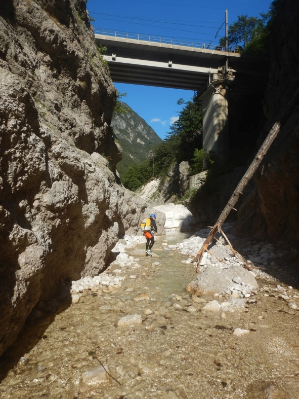 DSCN6653.JPG - 189.5 kb