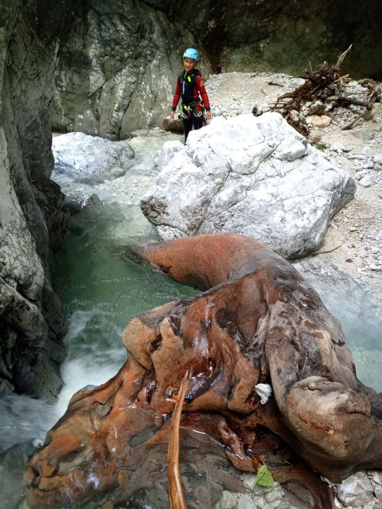 IMG-20220812-WA0019.jpg - 263.67 kb