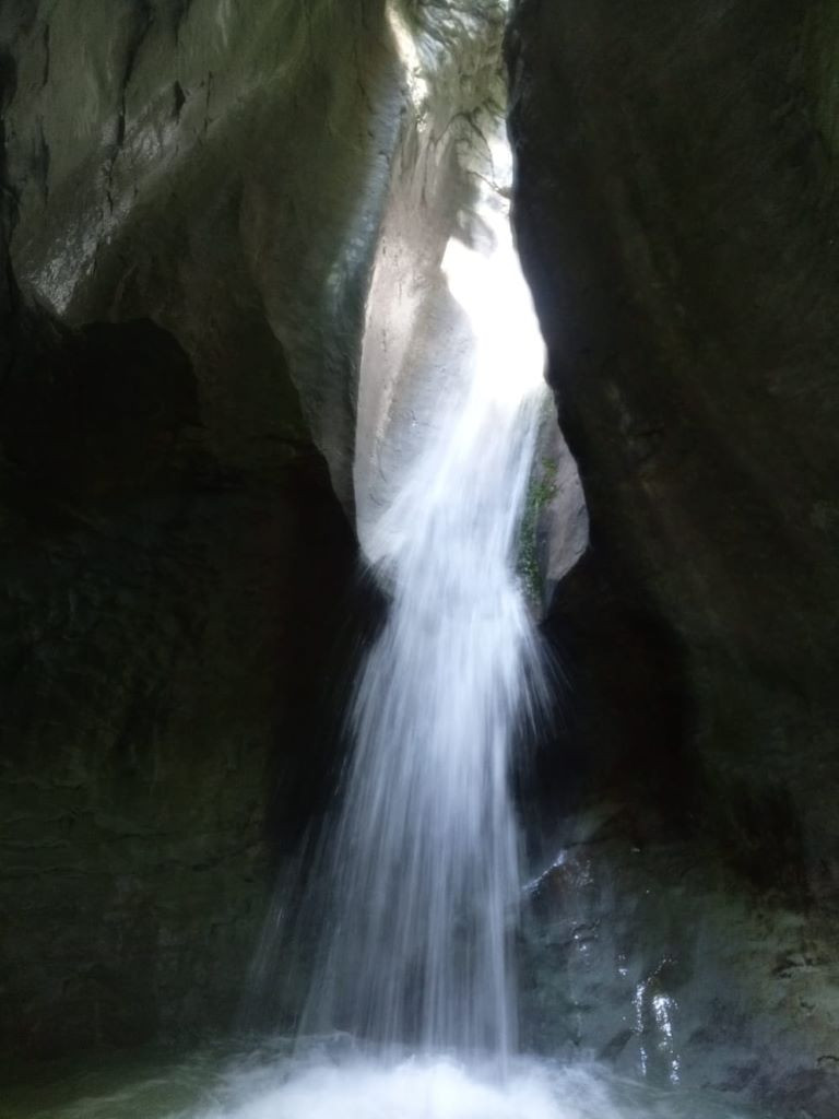 IMG-20220822-WA0007.jpg - 96.64 kb