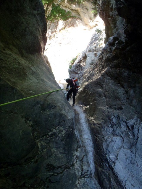 Frondizzon2.JPG - 91.24 kb