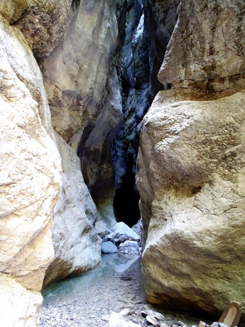 Frondizzon5.JPG - 122.63 kb