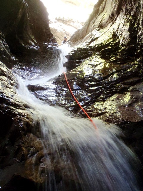 Frondizzon9.JPG - 109.25 kb