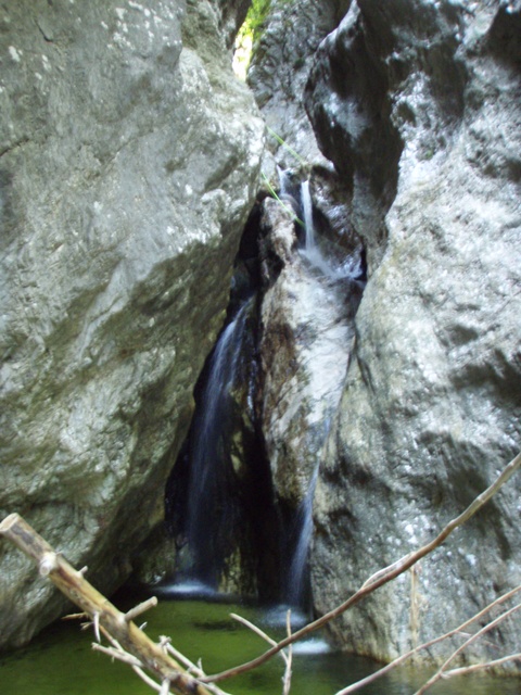 Favarinis6.JPG - 156.45 kb