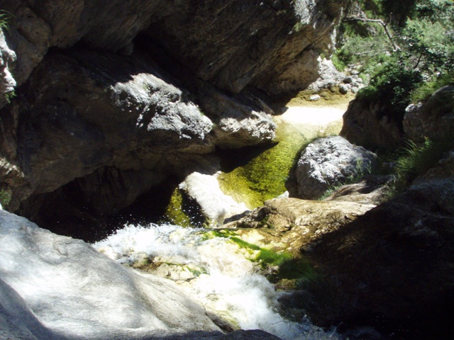 Favarinis7.JPG - 147.45 kb