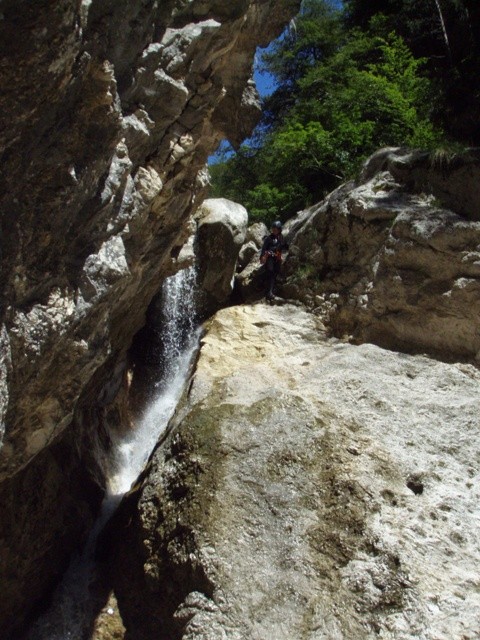 Favarinis5.JPG - 116.25 kb