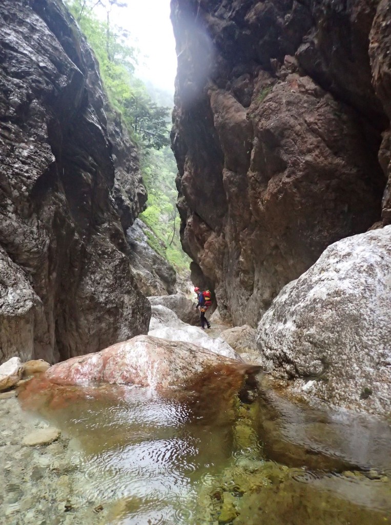 P5270036.JPG - 246.98 kb