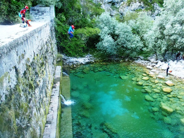 Leale1.JPG - 139.31 kb