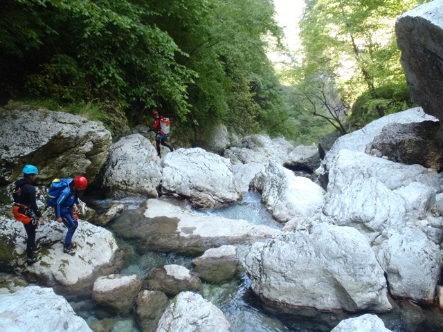 Leale2.JPG - 125.95 kb