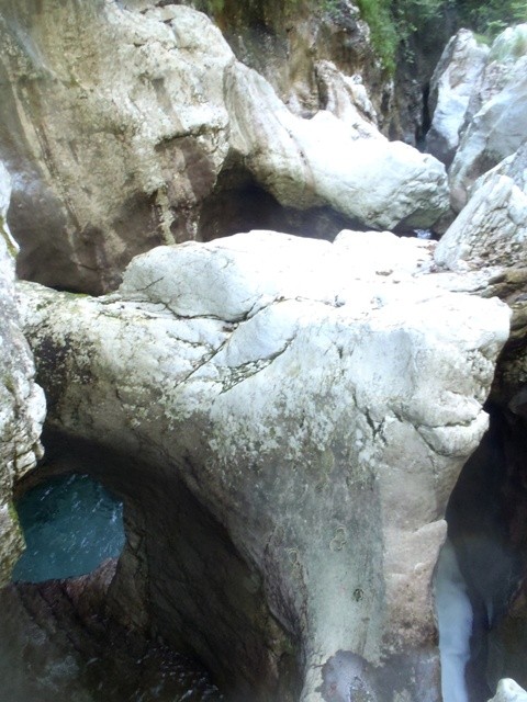 Leale3.JPG - 98.17 kb