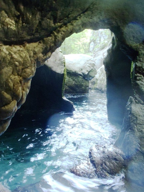 Leale4.JPG - 97.8 kb