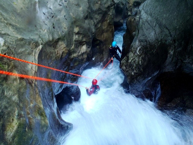 Leale5.JPG - 90.64 kb