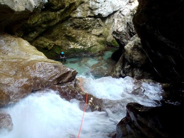 Leale6.JPG - 96.28 kb