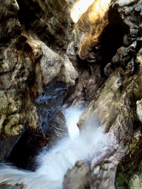 Leale7.JPG - 109.92 kb