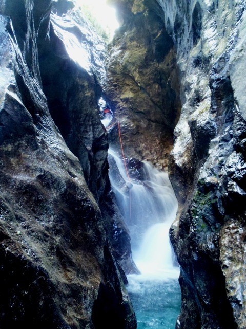 Leale8.JPG - 121.31 kb