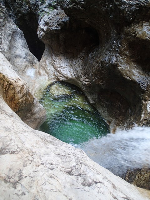 Tralba1.JPG - 104.2 kb