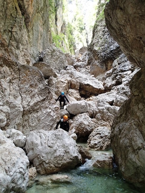 Tralba8.JPG - 136.2 kb