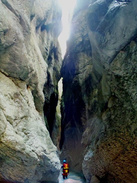 Zemola inf5.JPG - 99.32 kb